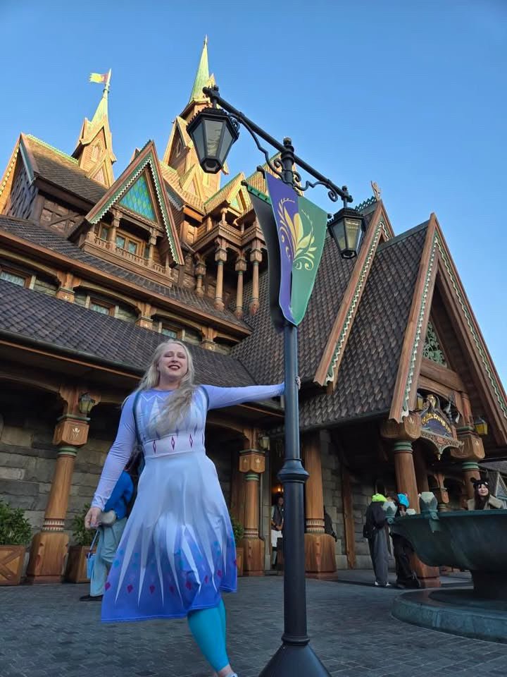 Elsa Frozen Skater Dress adult elsa costumedisney dressSkater DressWrong Lever Clothing