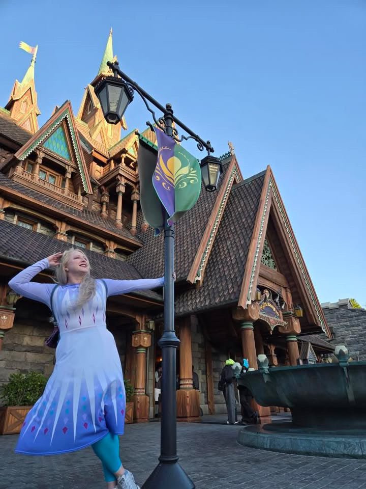 Elsa Frozen Skater Dress adult elsa costumedisney dressSkater DressWrong Lever Clothing