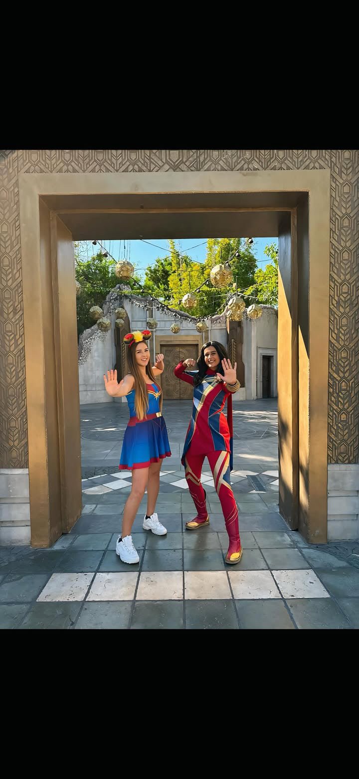 The Marvel Captain Skater Dress - Disneybounding, cosplay, running style avengers dresscaptain marvelSkater DressWrong Lever Clothing