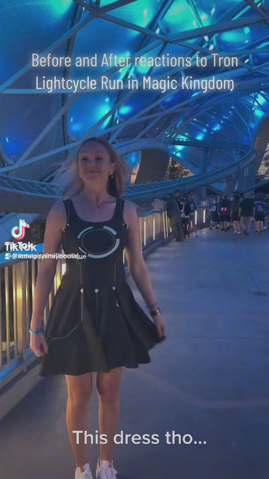 The User Skater Dress