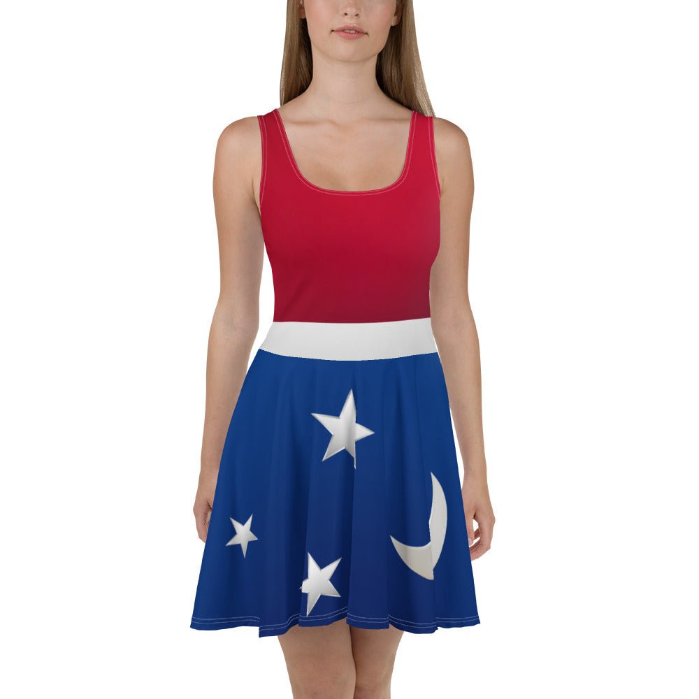 The Sorcerers Skater Dress cosplaydisney 100 dressLittle Lady Shay Boutique